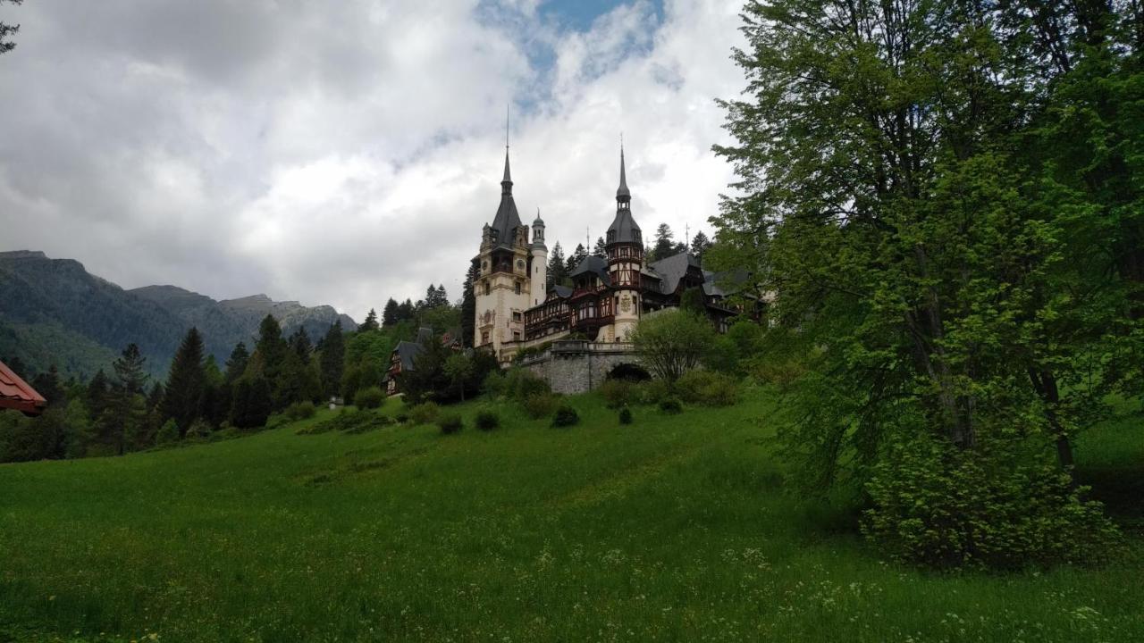 Poiana Dintre Brazi Chalet, Bucegi Panorama Sinaia Exterior photo