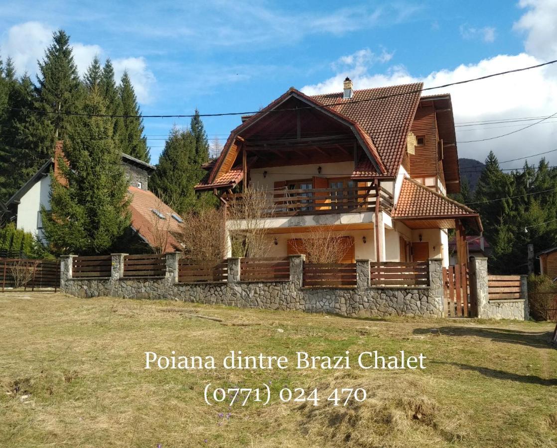 Poiana Dintre Brazi Chalet, Bucegi Panorama Sinaia Exterior photo