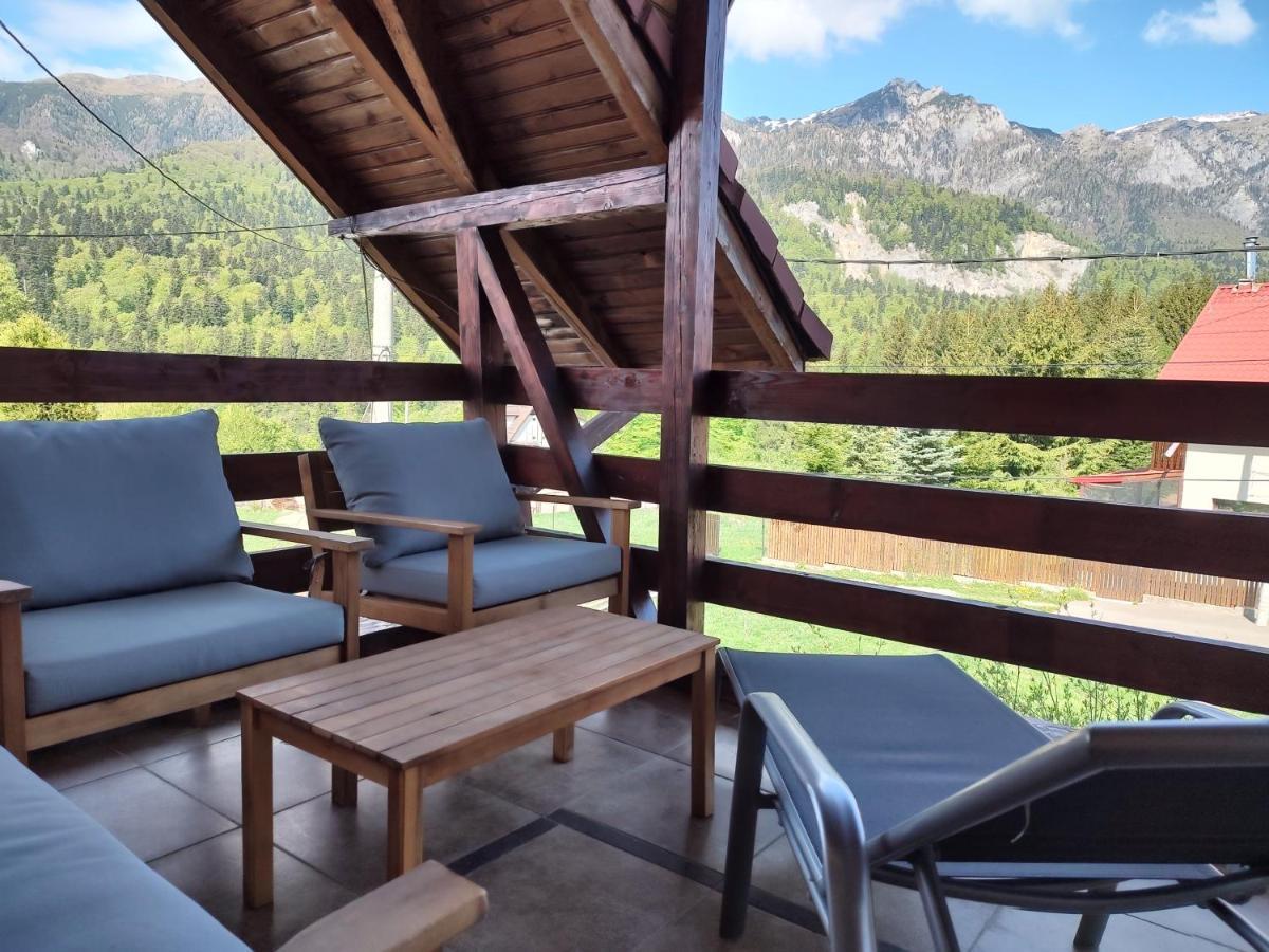 Poiana Dintre Brazi Chalet, Bucegi Panorama Sinaia Exterior photo